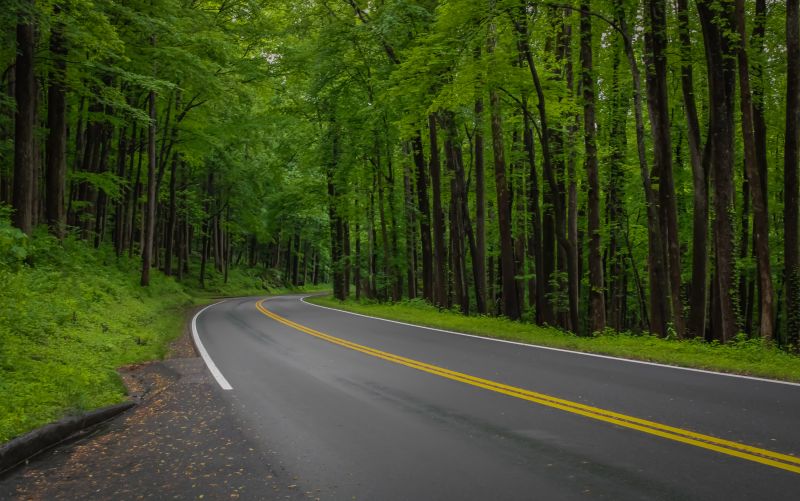 Road Coating Service in Sarasota, FL